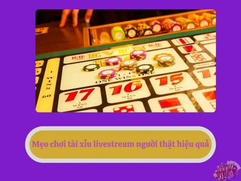 Mẹo chơi tài xỉu livestream người thật hiệu quả